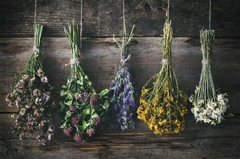 How to Store Dried Flowers: Preserving Beauty Beyond Bloom