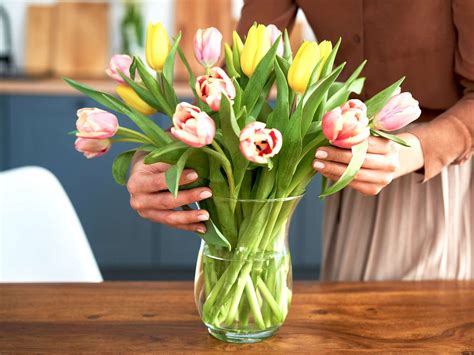 How to Store Flowers Before Giving Them: A Symphony of Petals and Practicality