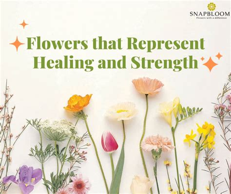 What Flowers Represent Strength: A Blossoming Discussion on Resilience and Beauty